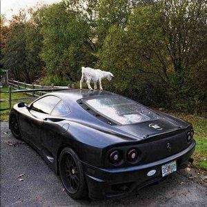 Meet your Posher, Rayce